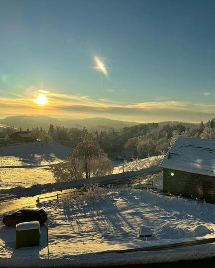 Lieblingsquartier Sankt Andreasberg Studio 9 Buitenkant foto